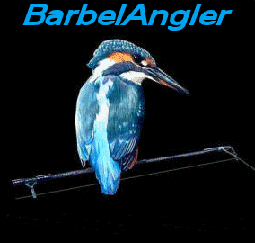 Barbel Angler